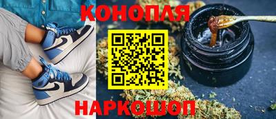 дмт Пушкино